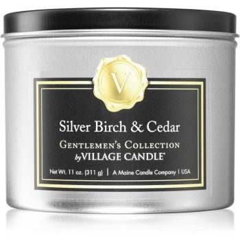 Village Candle Gentlemen's Collection Silver Birch & Cedar vonná sviečka I. 311 g