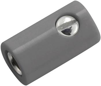 Kahlert Licht  mini laboratórne zásuvka zásuvka, rovná Ø pin: 2.6 mm sivá 1 ks