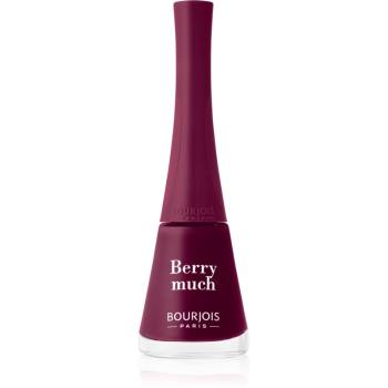 Bourjois 1 Seconde rýchloschnúci lak na nechty odtieň 007 Berry Much 9 ml