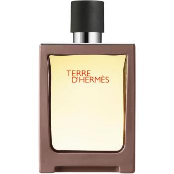 HERMÈS Terre d’Hermès toaletná voda pre mužov 30 ml