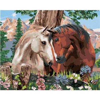 Maľovanie podľa čísel – Keď sa zamiluje kôň (Howard Robinson) (HRAbz33484nad)