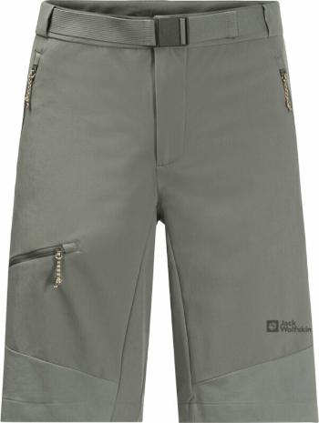 Jack Wolfskin Outdoorové šortky Ziegspitz Shorts M Gecko Green M