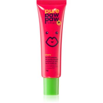 Pure Paw Paw Cherry balzam na pery a suché miesta 15 g