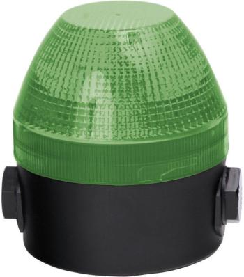 Auer Signalgeräte signalizačné osvetlenie  NES 440106413 zelená zelená trvalé svetlo, blikajúce 110 V/AC, 230 V/AC