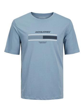 Jack&Jones Pánske tričko JJSOUTH Standard Fit 12256784 Mountain Spring M