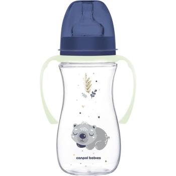 Canpol babies EasyStart Sleepy Koala 300 ml dojčenská fľaša 12 m+ Blue 300 ml