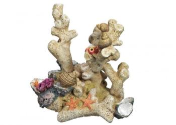 Nobby Coral 13x9,5x14 cm