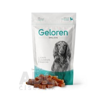 Geloren Small DOG