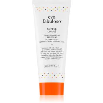 EVO Fabuloso Colour Boosting Treatment maska na vlasy pre zvýraznenie farby vlasov odtieň Copper 220 ml