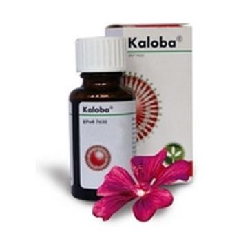 KALOBA kvapky 20 ml