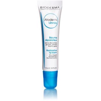 BIODERMA Atoderm Lip Balm 15 ml (3701129801000)