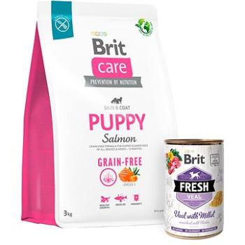 Brit Care Dog Grain-free s lososom Puppy 3 kg + Brit Fresh Veal with millet 400 g (KRMP1257bun)