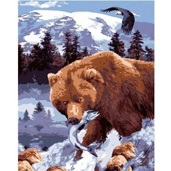 Maľovanie podľa čísel - Medveď grizly s rybou (Howard Robinson) (HRAbz33402nad)
