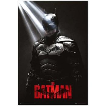 DC Comics – Batman – I Am The Shadows – plagát (8435497272982)