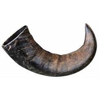 Trixie Natural buffalo (bovine) chewing horn, large