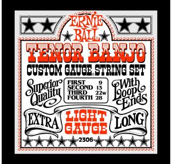 Ernie Ball Light Loop End Stainless Steel Tenor Banjo Guitar Strings