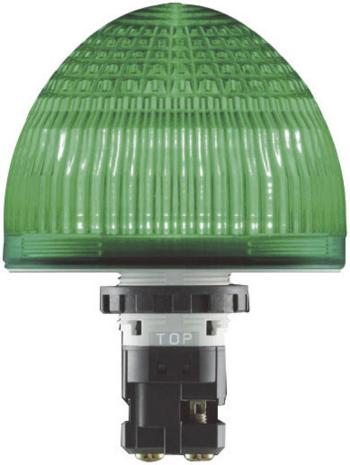 Idec signalizačné osvetlenie LED HW1P-5Q4G HW1P-5Q4G  zelená trvalé svetlo 24 V/DC, 24 V/AC