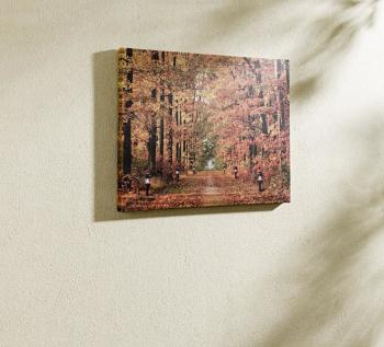Magnet 3Pagen LED obraz "Jesenný les"