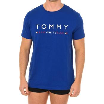 Tommy Hilfiger  UM0UM01167-415  Nátelníky Modrá