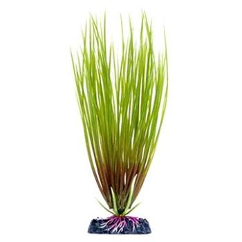 Penn Plax Hair Grass 18 cm (0030172055393)