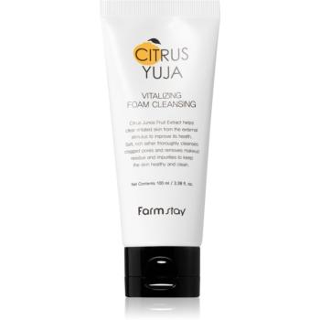 Farmstay Citrus Yuja čistiaca pena na tvár 100 ml