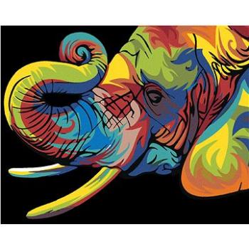 Maľovanie podľa čísel – Farebný slon I (HRAmal00673nad)