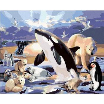 Maľovanie podľa čísel – Zvieratá v polárnom kráľovstve (Howard Robinson) (HRAbz33400nad)