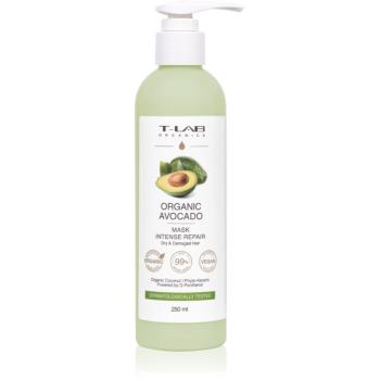 T-LAB Organics Organic Avocado Intense Repair Mask regeneračná a obnovujúca maska pre poškodené vlasy ml