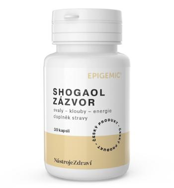 Epigemic® Shogaol Zázvor - 30 kapsúl - Epigemic®