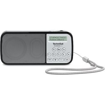 TechniSat TECHNIRADIO RDR strieborné (V057f99q)