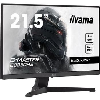 21,5 iiyama G-Master G2250HS-B1