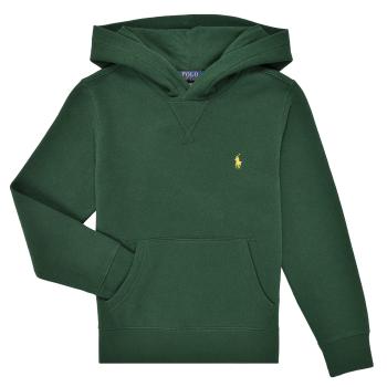 Polo Ralph Lauren  LS PO HOOD-TOPS-KNIT  Mikiny Zelená