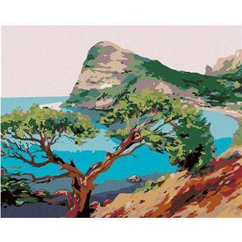 Maľovanie podľa čísel – Vyrastený strom pri mori (HRAmal00259nad)