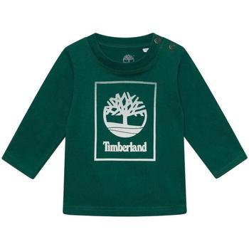 Timberland  Tričká s krátkym rukávom -  Zelená