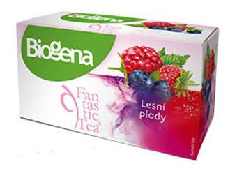 Biogena Fantastic Tea Lesné plody ovocný čaj 20 x 2 g
