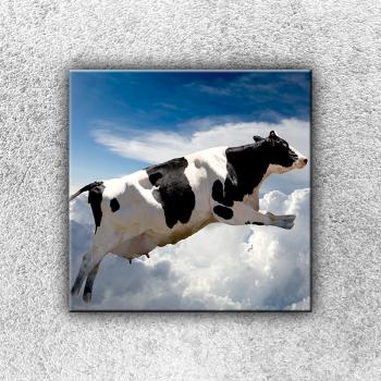 Foto na plátno Lietajúca krava 30x30 cm