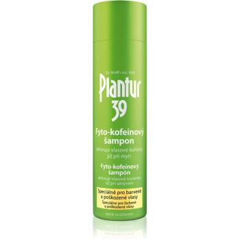 Plantur 39 kofeínový šampón pre farbené a poškodené vlasy 250 ml