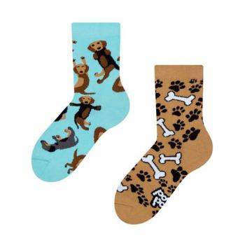 DEDOLES Detské veselé ponožky Dedoles jazvečík 23-26