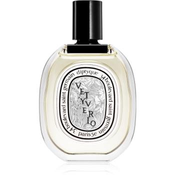 Diptyque Vetyverio toaletná voda unisex 100 ml