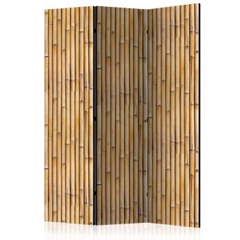 Paraván Amazonian Wall Dekorhome 135x172 cm (3-dielny)