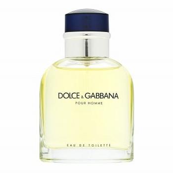 Dolce & Gabbana Pour Homme toaletná voda pre mužov 75 ml