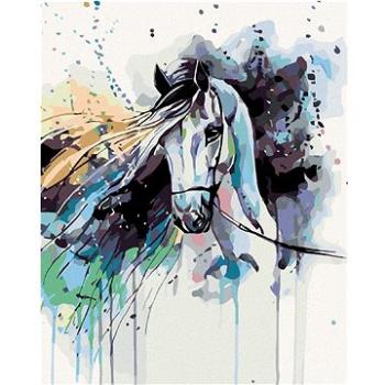 Maľovanie podľa čísel – Abstraktný kôň čierny (HRAmal00005nad)