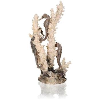 biOrb seahorses on coral prírodný M