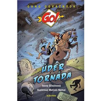 Úder tornáda (978-80-000-6883-1)