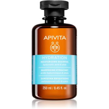 Apivita Hydratation Moisturizing hydratačný šampón pre všetky typy vlasov 250 ml