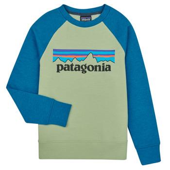 Patagonia  Mikiny K's LW Crew Sweatshirt  Viacfarebná
