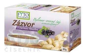 FYTO Zázvor s čiernou ríbezľou 20x2 g (40 g)