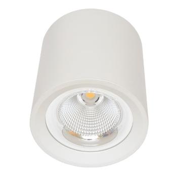 Ecolite Biele nástenné svietidlo okrúhle 30W MZ-DL-30W/BI