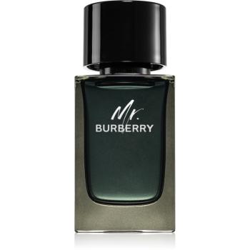 Burberry Mr. Burberry parfumovaná voda pre mužov 100 ml