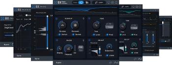 iZotope RX 11 Elements (Digitálny produkt)